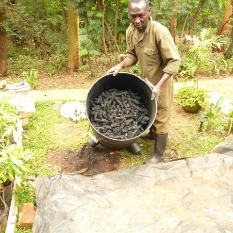 a full kin of maize cob and branch charcoal made in less the a day