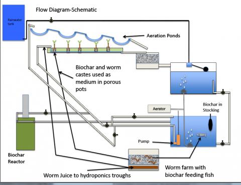 integrating vermiculture; aquaponics and biochar